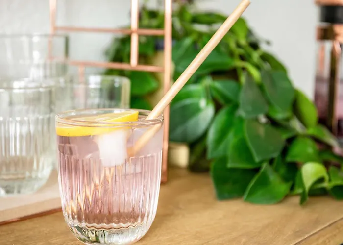 Ibis Aeroport Bale Mulhouse Saint-Louis (Haut-Rhin)